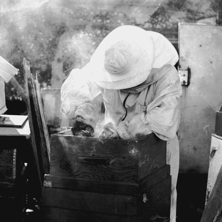 Raw Honey , Bee keeping