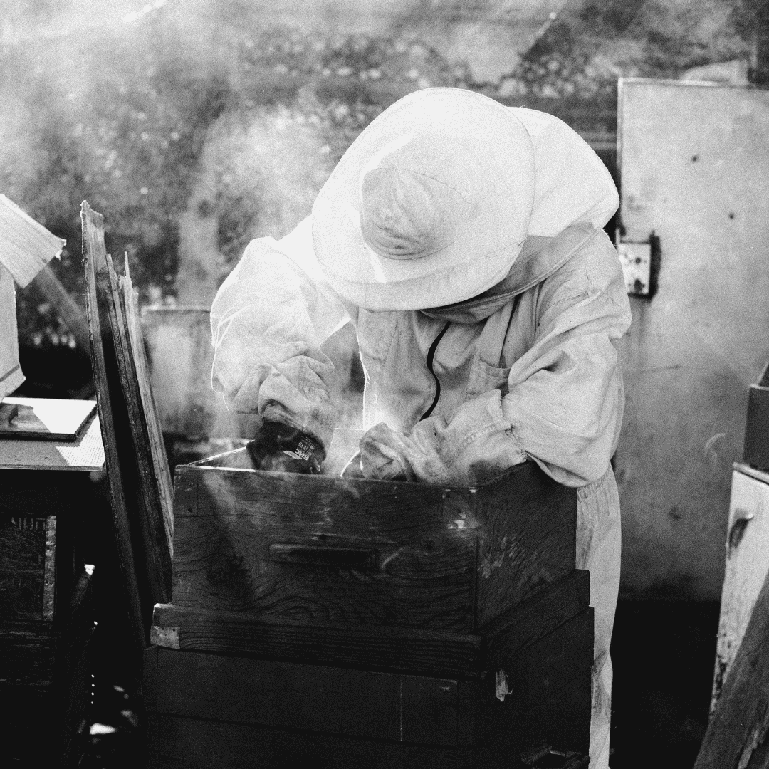 Raw Honey , Bee keeping