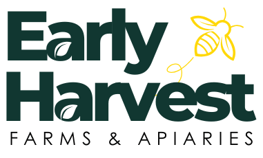 organic food and wellness