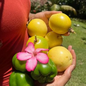 Early Harvest